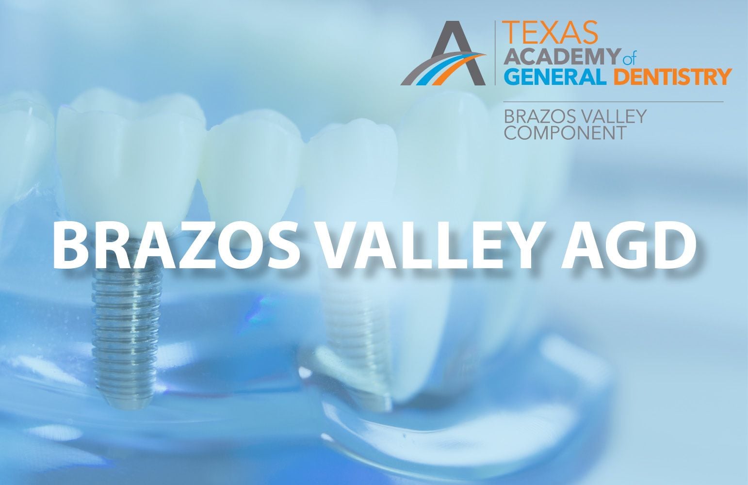 BRAZOS VALLEY